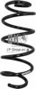 JP GROUP 1142209209 Coil Spring